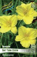 919cef85-3aa2-11e9-b36c-005056c00008-1