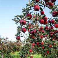 a18dac24-bb17-11f0-891d-246e9611e8f7-1