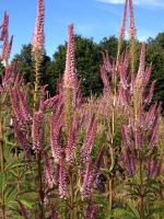 1fe1ddc2-20e3-11f0-8918-246e9611e8f6-1