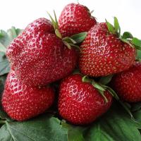 986b8785-00a2-11f0-8915-246e9611e8f5-1