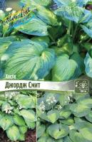 964978bc-560b-11ea-ab37-005056c00008-1