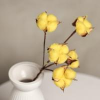 5265066d-9d02-11ef-8912-246e9611e8f7-1