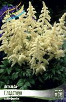 23eb59e6-3dac-11df-a2cf-00235435134b-1