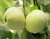 c86630f3-cc0f-11ef-8915-246e9611e8f5-1