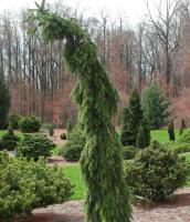 19e1d696-d120-11f0-891e-246e9611e8f6-1