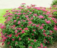 5eeb647e-2c41-11f1-8926-246e9611e8f6-1