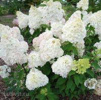 85d8c697-25da-11f0-8918-246e9611e8f6-1