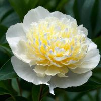 c9f39452-139d-11f1-8925-246e9611e8f6-1