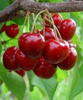 4330d07f-322b-11ef-890e-246e9611e8f7-1