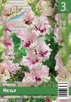 75798f28-3e9f-11ea-ab2f-005056c00008-1