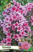 6613c1e2-60aa-11ed-bd4c-001e673ebdea-1