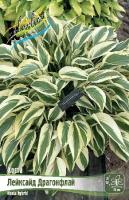 d58a544e-1bd0-11e8-9db1-005056c00008-1