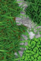 dce277d9-190e-11e7-99b3-001e673ebdea-1