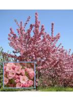 5b6dbb01-2fe2-11f0-8918-246e9611e8f6-1