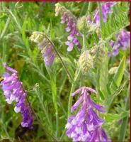 61e97cfe-e453-11e6-bb6f-001e673ebdea-1