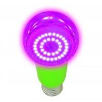 6e33e7f4-acd3-11ed-8508-001e673ebdea-1