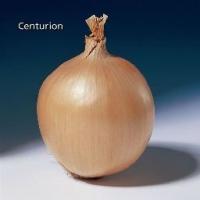 834cf282-dcea-11dd-9138-00500454e615-1