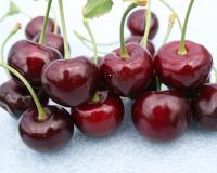 d76155dc-f37f-11f0-8923-246e9611e8f6-1