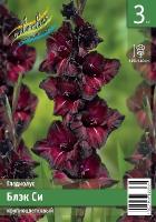 c801ed5d-d570-11e5-a9f8-001e673ebdea-1