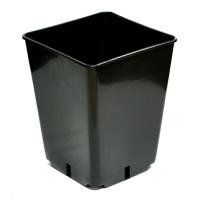 d6458777-fffe-11ef-8915-246e9611e8f5-1