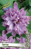 3587a1c4-4c97-11e0-99a9-00500454e615-1