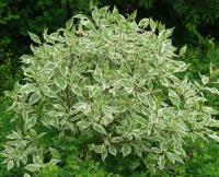 085e3785-2c36-11f1-8926-246e9611e8f6-1