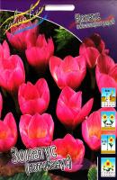 1e98206c-4dbf-11f0-891a-246e9611e8f6-1