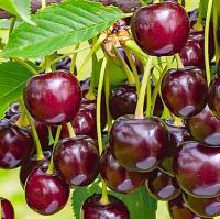 ad36a958-be4c-11f0-891d-246e9611e8f7-1