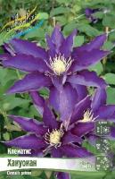 e1e31169-1bb7-11e8-9db1-005056c00008-1