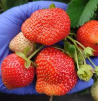 5cf11ff6-1dec-11f1-8926-246e9611e8f6-1