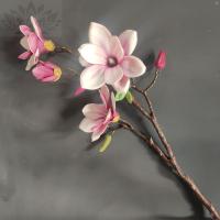 910ed5f1-5a61-11f0-891b-246e9611e8f7-1