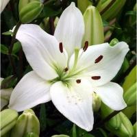 f5757ebf-cdbc-11f0-891e-246e9611e8f6-1