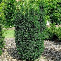 331f973e-2bcc-11f0-8918-246e9611e8f6-1