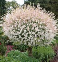 71014d60-2bd3-11f0-8918-246e9611e8f6-1