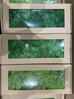 300e3105-9cf1-11ef-8912-246e9611e8f7-1