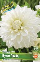 bfe983e6-3628-11eb-b90a-005056c00008-1