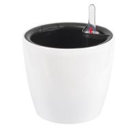 072d3fbb-fc9c-11ee-890b-246e9611e8f5-1