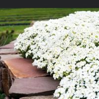 f97484f3-20e0-11f0-8918-246e9611e8f6-1