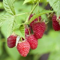 3a386cb0-d33b-11ef-8915-246e9611e8f5-1