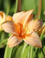 cc8dc2a4-000d-11f0-8915-246e9611e8f5-1