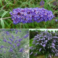 2b1ec66d-bc05-11e3-aae1-001e673ebde8-1