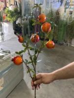 8f4b3f36-caa9-11f0-891e-246e9611e8f6-1