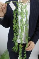 029ba894-5a71-11f0-891b-246e9611e8f7-1