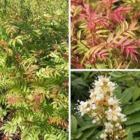 17bd7f3f-347e-11f0-8918-246e9611e8f6-1