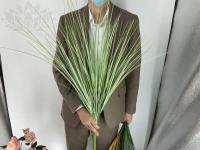 05955851-5a5d-11f0-891b-246e9611e8f7-1