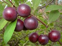 1471fc40-f11f-11f0-8920-246e9611e8f7-1