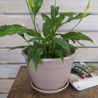 d390c273-5677-11ed-aea3-001e673ebdea-1