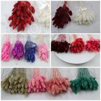 b39671c6-9d01-11ef-8912-246e9611e8f7-1