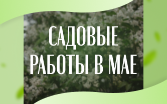 Календарь садовода: майские работы от А до Я