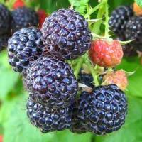 14854f73-f433-11f0-8924-246e9611e8f6-1